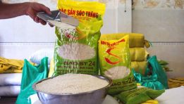 ST24 lọt top 3 gạo ngon nhất thế giới - Cơ hội nâng tầm gạo Việt