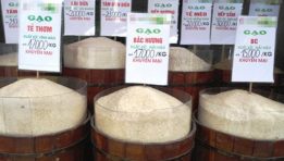 Gạo Việt vượt mặt gạo Thái vì đi đúng đường 