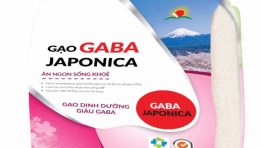 Gaba Japonica - gạo dinh dưỡng cho gia đình Việt