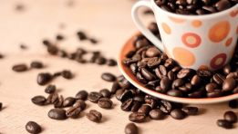 Tìm đại lý phân phối cà phê nguyên chất Mẹ Beo