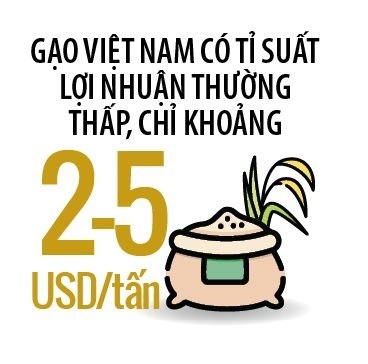 gạo Việt nam